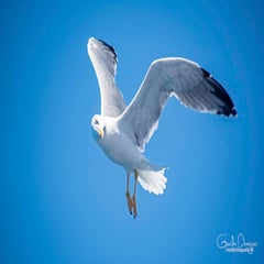 dsc_48392.jpg