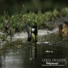 dsc_70392.jpg