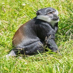 dsc_10953.jpg