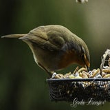 DSC_53572.jpg