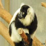 DSCN2889.jpg
