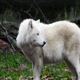 DSCN2739.jpg