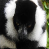 DSCN3199.jpg