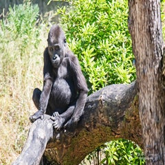 dsc_10223.jpg