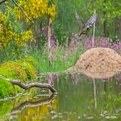 dsc_93863.jpg