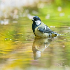 dsc_92803.jpg