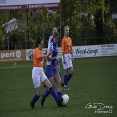 dsc_01662.jpg