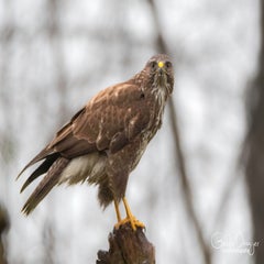 dsc_24943.jpg