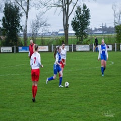 dsc_66672-1.jpg