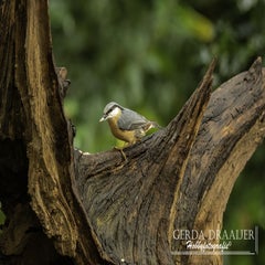 dsc_60592.jpg