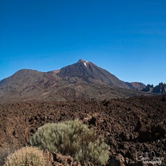 dsc_50743.jpg