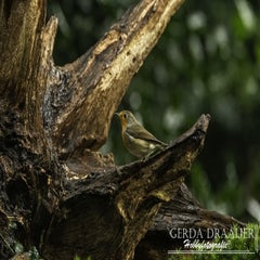 dsc_59842.jpg