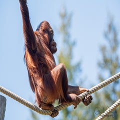 dsc_12423.jpg