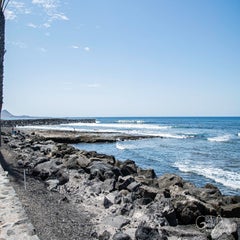 dsc_46443.jpg