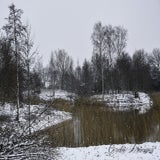DSC_54242.jpg