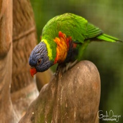 dsc_17732.jpg
