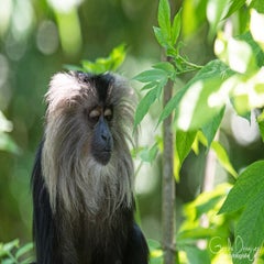 dsc_13173.jpg