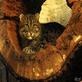 DSCN2846.jpg