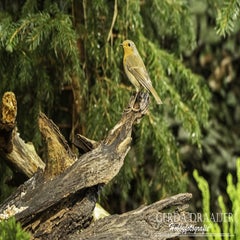 dsc_61782.jpg