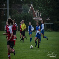 dsc_55272.jpg