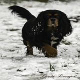 DSC_54192.jpg