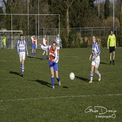 dsc_87722.jpg