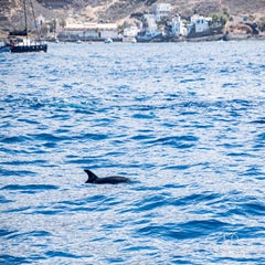 dsc_48103.jpg