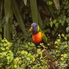 dsc_17893.jpg
