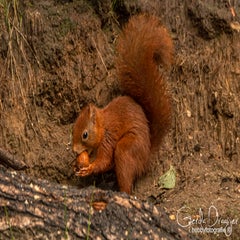 dsc_61443.jpg