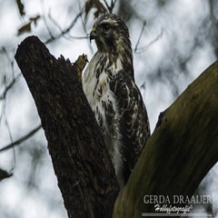 dsc_67982.jpg