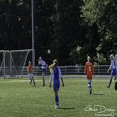 dsc_24582.jpg