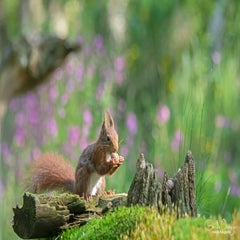 dsc_90143.jpg