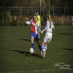 dsc_87712.jpg