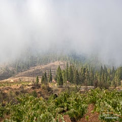 dsc_44733.jpg