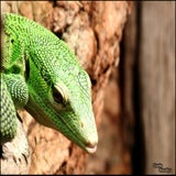 Afbeelding2-4.jpg