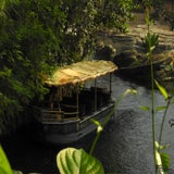 DSCN3254.jpg