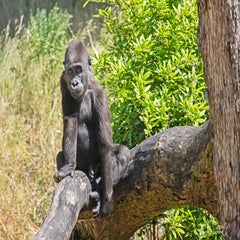dsc_10243.jpg