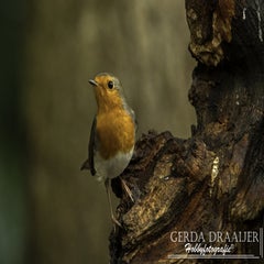 dsc_60542.jpg
