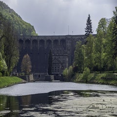 dsc_08712.jpg