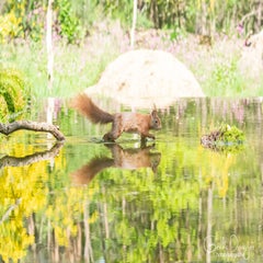 dsc_91963.jpg