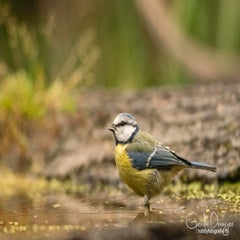 dsc_33322.jpg