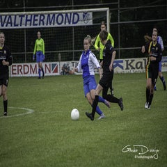 dsc_19352.jpg