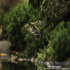 dsc_69252.jpg