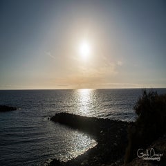 dsc_46953.jpg