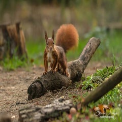 dsc_88223.jpg