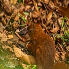 dsc_61142.jpg