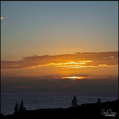 dsc_45353.jpg