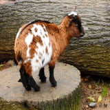 DSCN2764.jpg