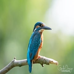 dsc_16663.jpg