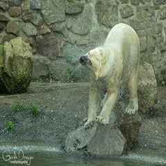 dsc_81693.jpg